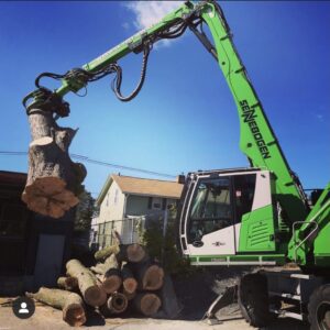 Once the tree is dismantled, they can stack the wood neatly