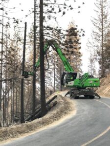 With its reach, the operator can cut down burned out trees on the slope and lay them down safely.