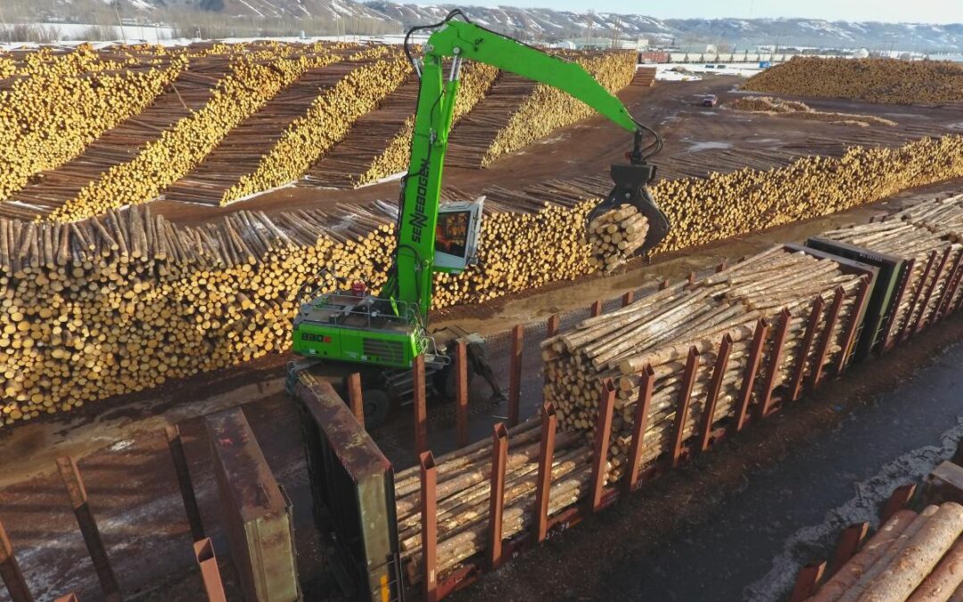 Cameron River Logistics Finds A Log Handler It Can Rely On
