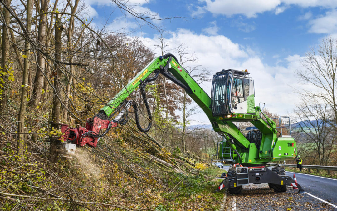 Increasing Traffic Safety With Strategic Tree Felling
