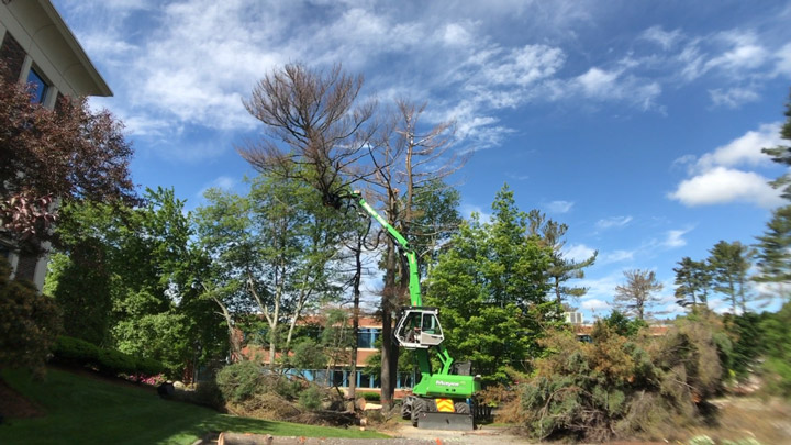 SENNEBOGEN 718 Earns Praise From Boston-Area Tree Service Company