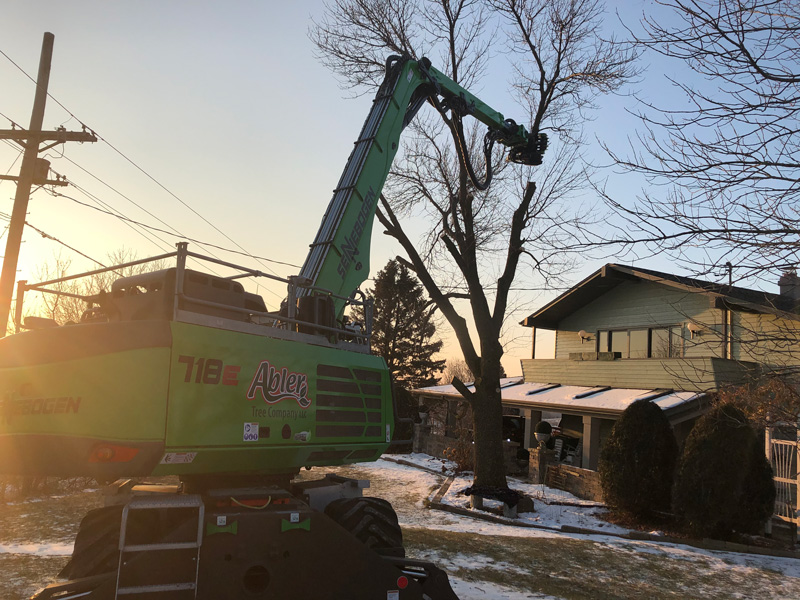 New SENNEBOGEN 718 Tree Care Handler Is A Crowd-Pleaser For Abler Tree Company